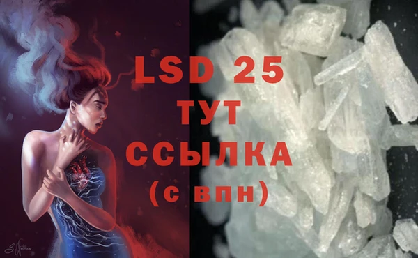 шишки Заводоуковск