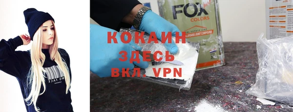шишки Заводоуковск
