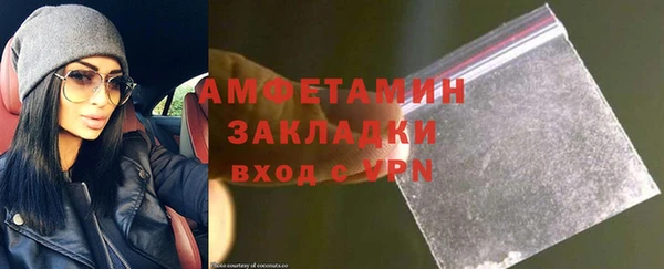 шишки Заводоуковск