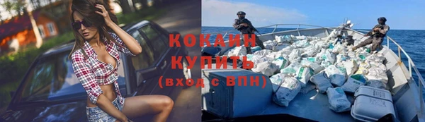 шишки Заводоуковск
