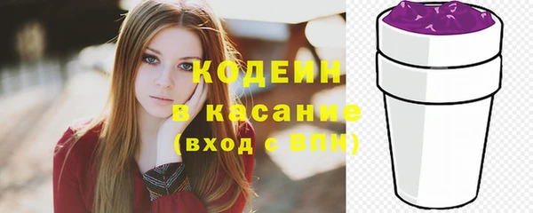 шишки Заводоуковск