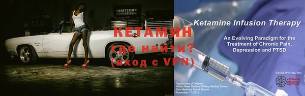 шишки Заводоуковск