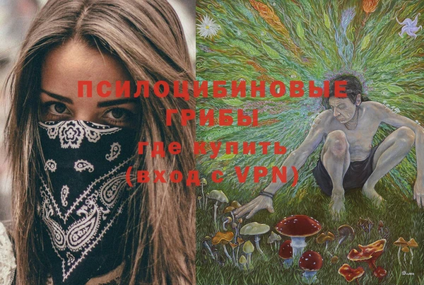 шишки Заводоуковск