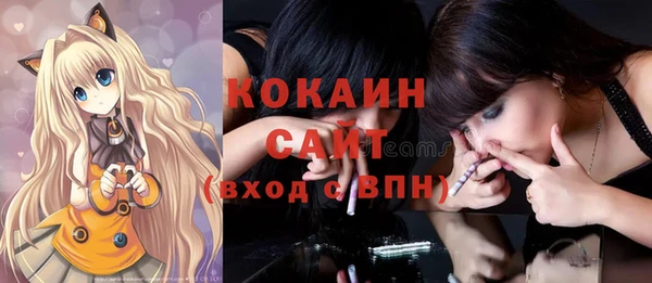 шишки Заводоуковск