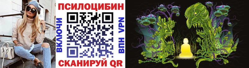 Псилоцибиновые грибы Psilocybe Купить Жуковка